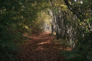 AZIENDA AGRITURISTICA DI 110 ETTARI