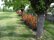 CASALE RISTRUTTURATO REZZANELLO