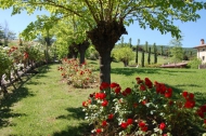 CASALE RISTRUTTURATO REZZANELLO