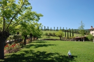 CASALE RISTRUTTURATO REZZANELLO