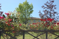 CASALE RISTRUTTURATO REZZANELLO