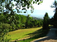 ESCLUSIVA PROPRIETA' SUI COLLI TOSCANI