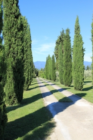 ESCLUSIVA PROPRIETA' SUI COLLI TOSCANI