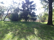 TENUTA AGRICOLA IN VAL TIDONE