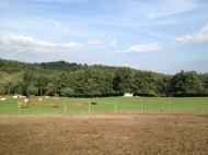 TENUTA AGRICOLA IN VAL TIDONE
