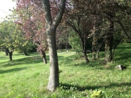 TENUTA AGRICOLA IN VAL TIDONE