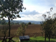 TENUTA AGRICOLA IN VAL TIDONE
