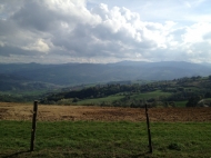 TENUTA AGRICOLA IN VAL TIDONE