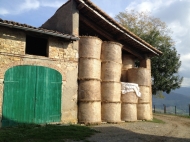 TENUTA AGRICOLA IN VAL TIDONE