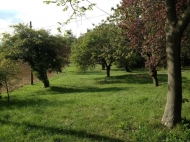 TENUTA AGRICOLA IN VAL TIDONE