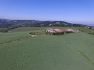 TENUTA AGRICOLA IN ALTA VAL TIDONE