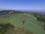 TENUTA AGRICOLA IN ALTA VAL TIDONE