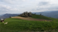 TENUTA AGRICOLA IN ALTA VAL TIDONE