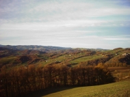 TENUTA AGRICOLA IN ALTA VAL TIDONE