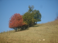 TENUTA AGRICOLA IN ALTA VAL TIDONE