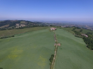 TENUTA AGRICOLA IN ALTA VAL TIDONE