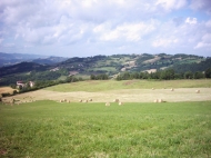 TENUTA AGRICOLA IN ALTA VAL TIDONE