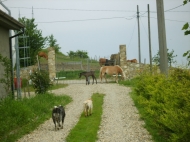 TENUTA AGRICOLA IN ALTA VAL TIDONE