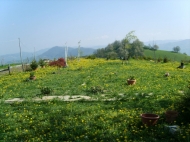 TENUTA AGRICOLA IN ALTA VAL TIDONE