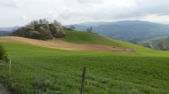 TENUTA AGRICOLA IN ALTA VAL TIDONE