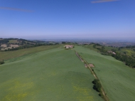 TENUTA AGRICOLA IN ALTA VAL TIDONE