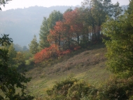 TENUTA AGRICOLA IN ALTA VAL TIDONE