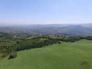 TENUTA AGRICOLA IN ALTA VAL TIDONE