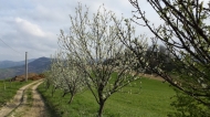 TENUTA AGRICOLA IN ALTA VAL TIDONE