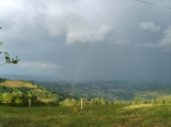 TENUTA AGRICOLA IN ALTA VAL TIDONE