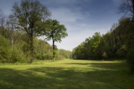 CASTELLO CON CAMPO DA GOLF