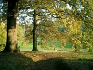 CASTELLO CON CAMPO DA GOLF