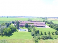 ANTICA CASCINA AGRICOLA