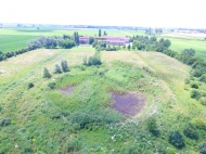 ANTICA CASCINA AGRICOLA