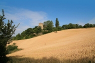 CASTELLO DEL XII SECOLO COMPLETAMENTE RESTAURATO