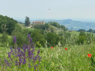 ESCLUSIVA ED UNICA TENUTA IN ALTA VAL TIDONE