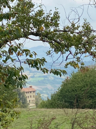 ESCLUSIVA ED UNICA TENUTA IN ALTA VAL TIDONE