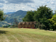 ESCLUSIVA ED UNICA TENUTA IN ALTA VAL TIDONE