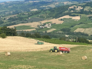 ESCLUSIVA ED UNICA TENUTA IN ALTA VAL TIDONE