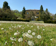 ESCLUSIVA ED UNICA TENUTA IN ALTA VAL TIDONE