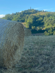 ESCLUSIVA ED UNICA TENUTA IN ALTA VAL TIDONE