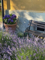 ESCLUSIVA ED UNICA TENUTA IN ALTA VAL TIDONE