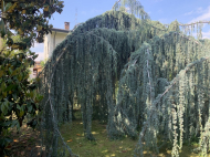 VILLA IN CENTRO STORICO A CASTEL SAN GIOVANNI