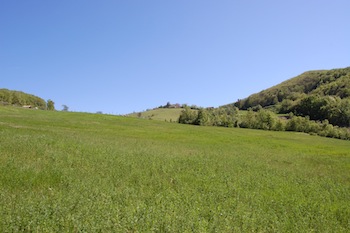 AZIENDA AGRITURISTICA DI 110 ETTARI
