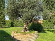 CASALE DEL 1873 CON PISCINA