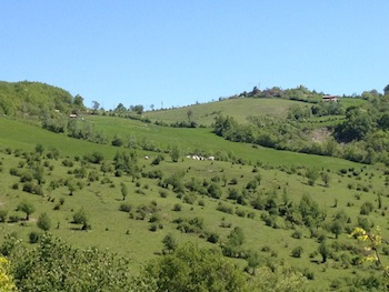 AZIENDA AGRITURISTICA DI 110 ETTARI