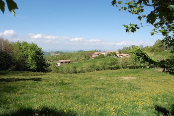 AZIENDA AGRITURISTICA DI 110 ETTARI