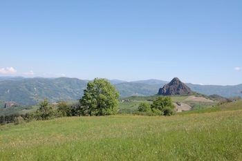 AZIENDA AGRITURISTICA DI 110 ETTARI